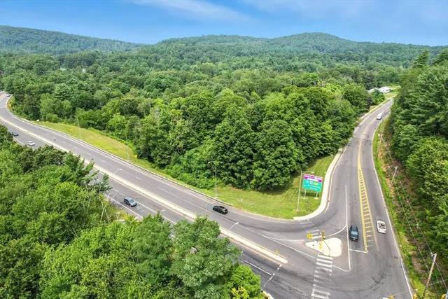 a view of a two large trees in front of a building