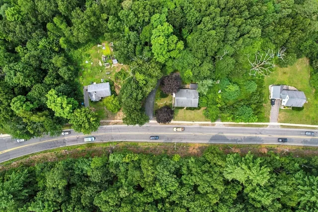 a view of a yard with large trees