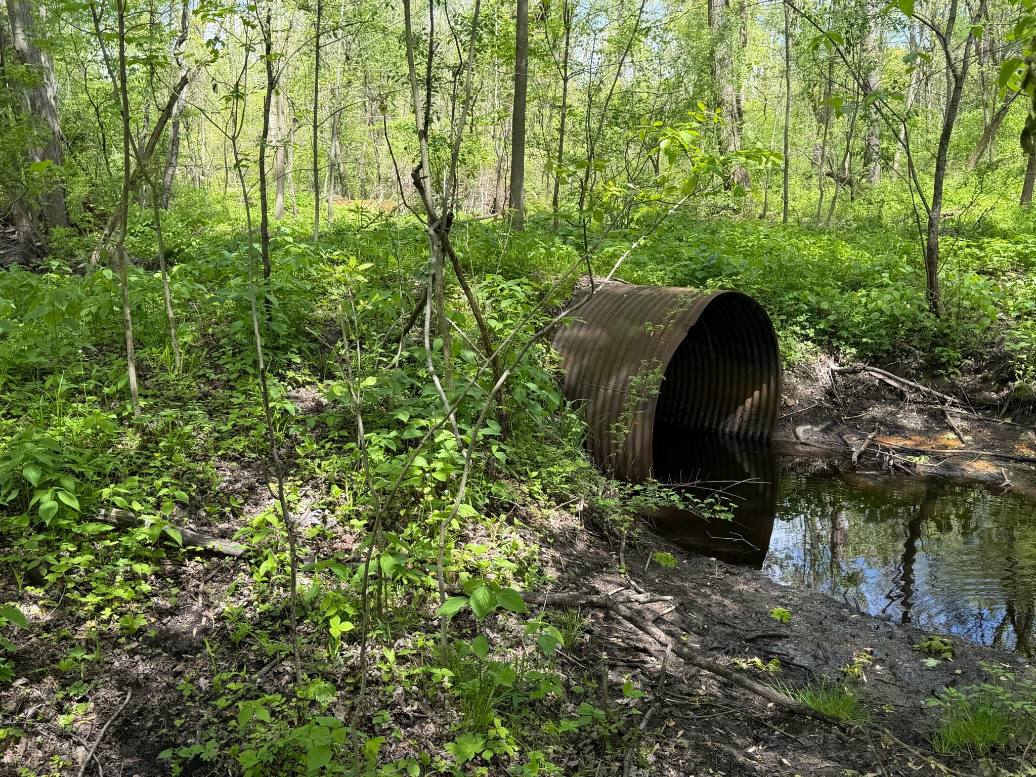 6 Bunkerhill Road Jackson, MI 49201 - Photo 19 of 23 IMG_2347