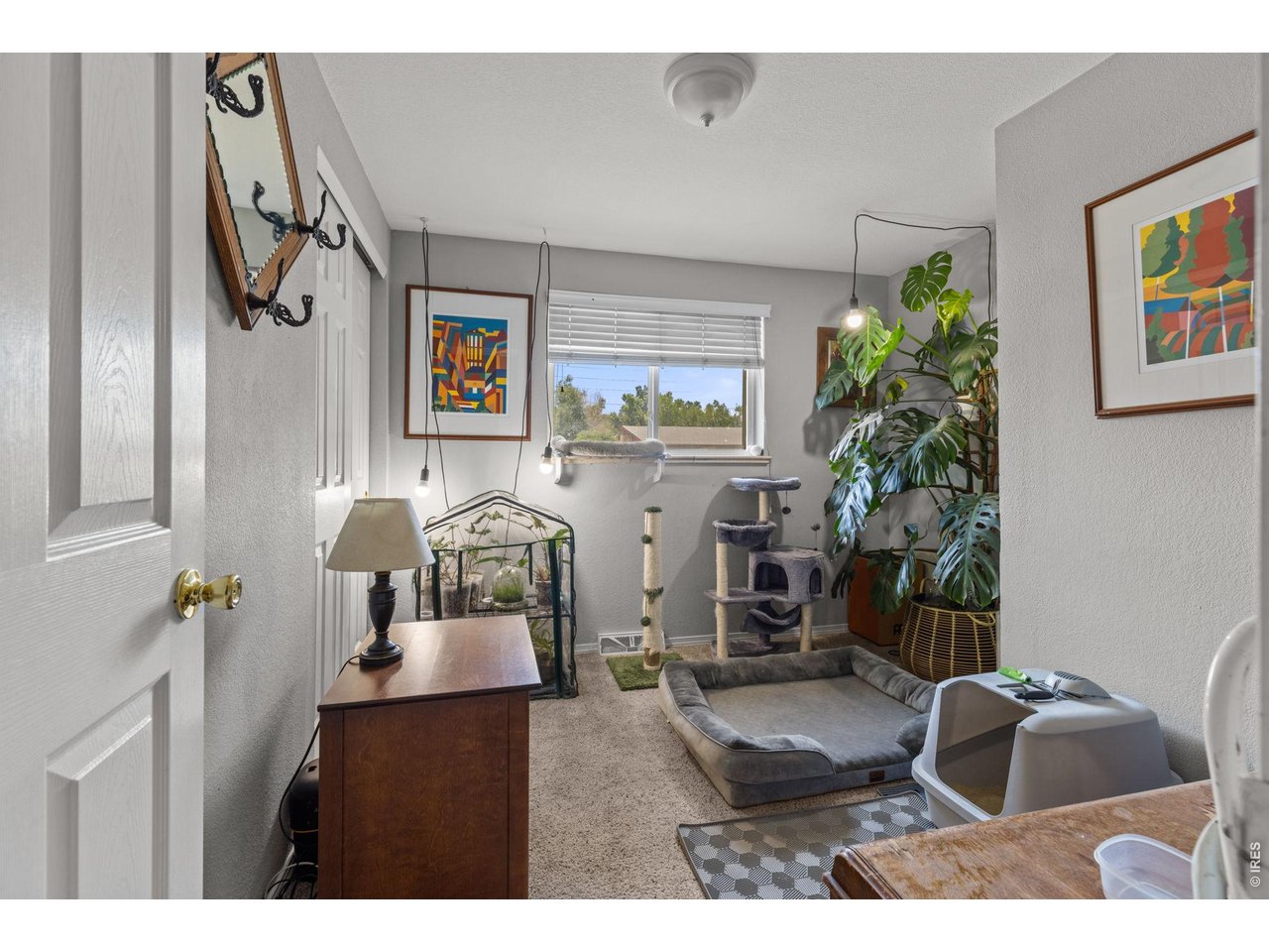 4653 Dover Street Wheat Ridge, CO 80033 - Photo 15 of 20 Bedroom #2