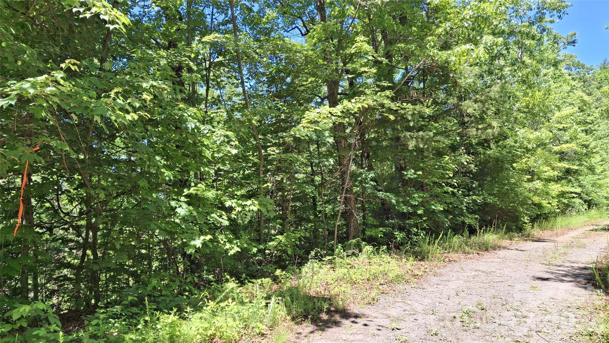 272 Kako Ridge, Unit 64 Sylva, NC 28779 - Photo 5 of 15