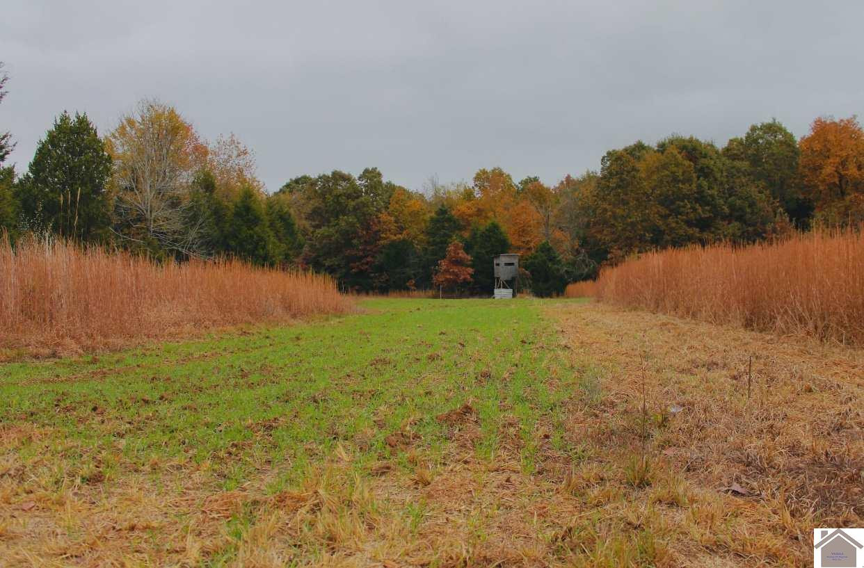 1573 Rowland Cemetery Road Fredonia, KY 42411 - Photo 1 of 1 Photo 1