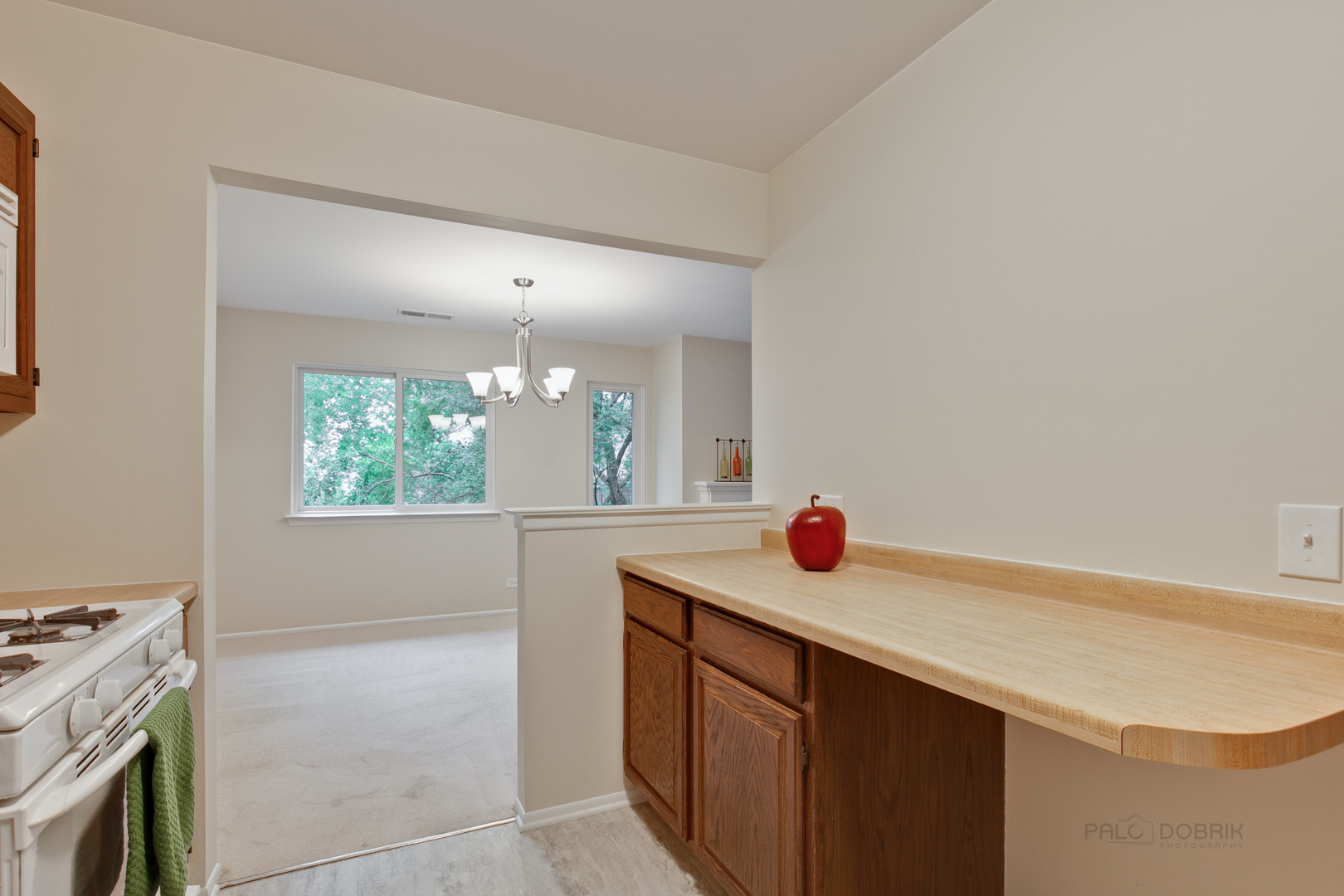 375 Newgate Court, Unit O2 Schaumburg, IL 60193 - Photo 9 of 24