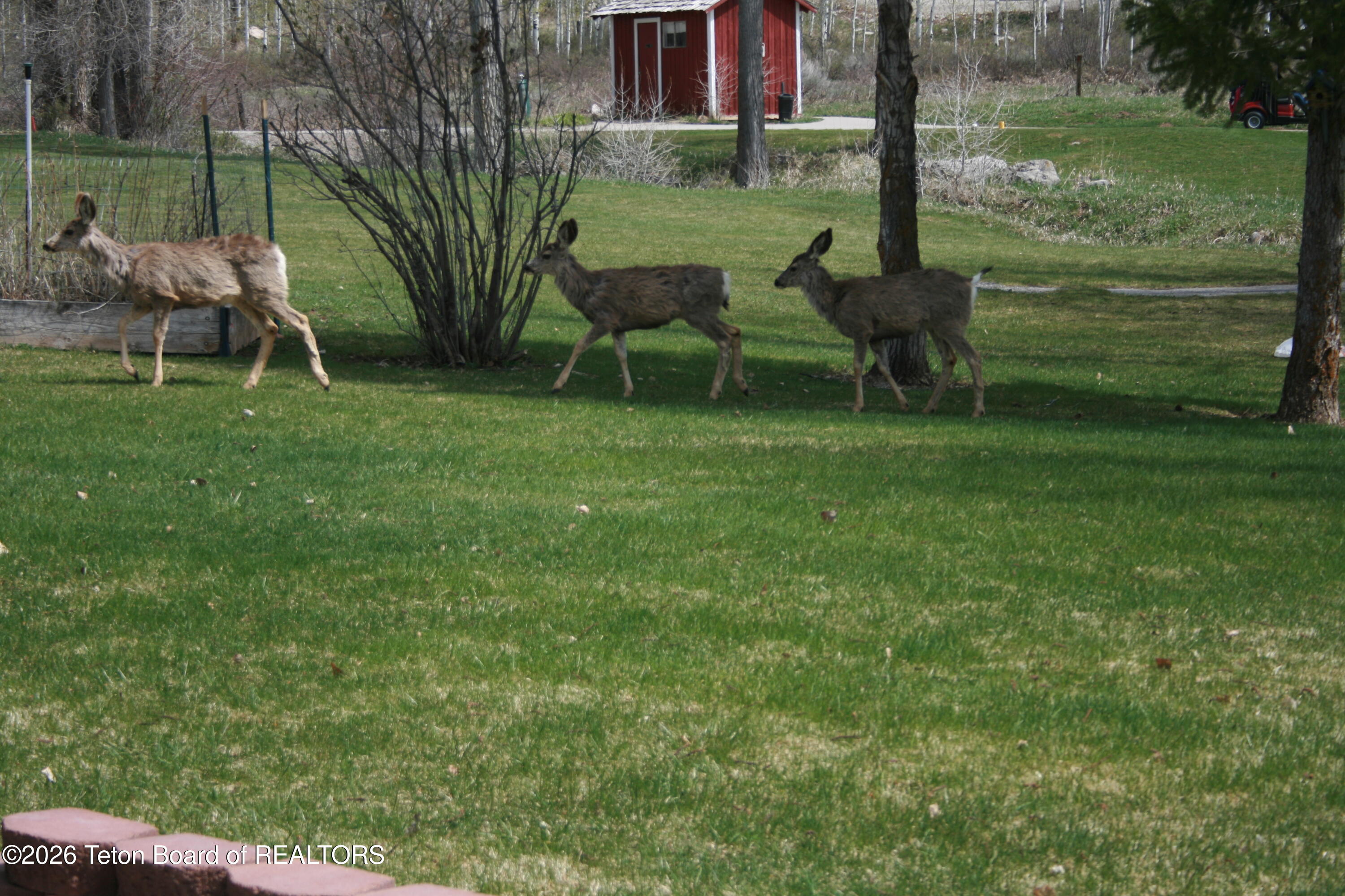 1458 Hardman Road Star Valley Ranch, WY 83127 - Photo 57 of 57 IMG_0900