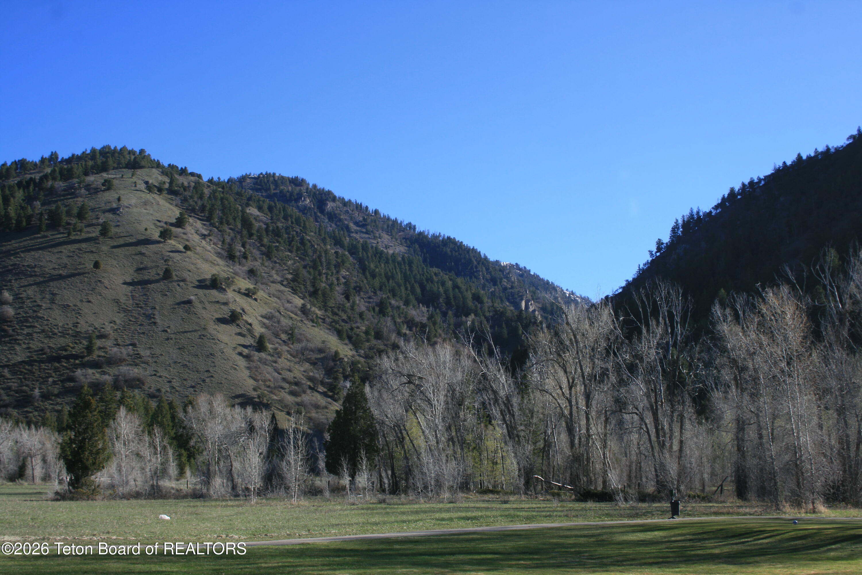 1458 Hardman Road Star Valley Ranch, WY 83127 - Photo 7 of 52 IMG_0879