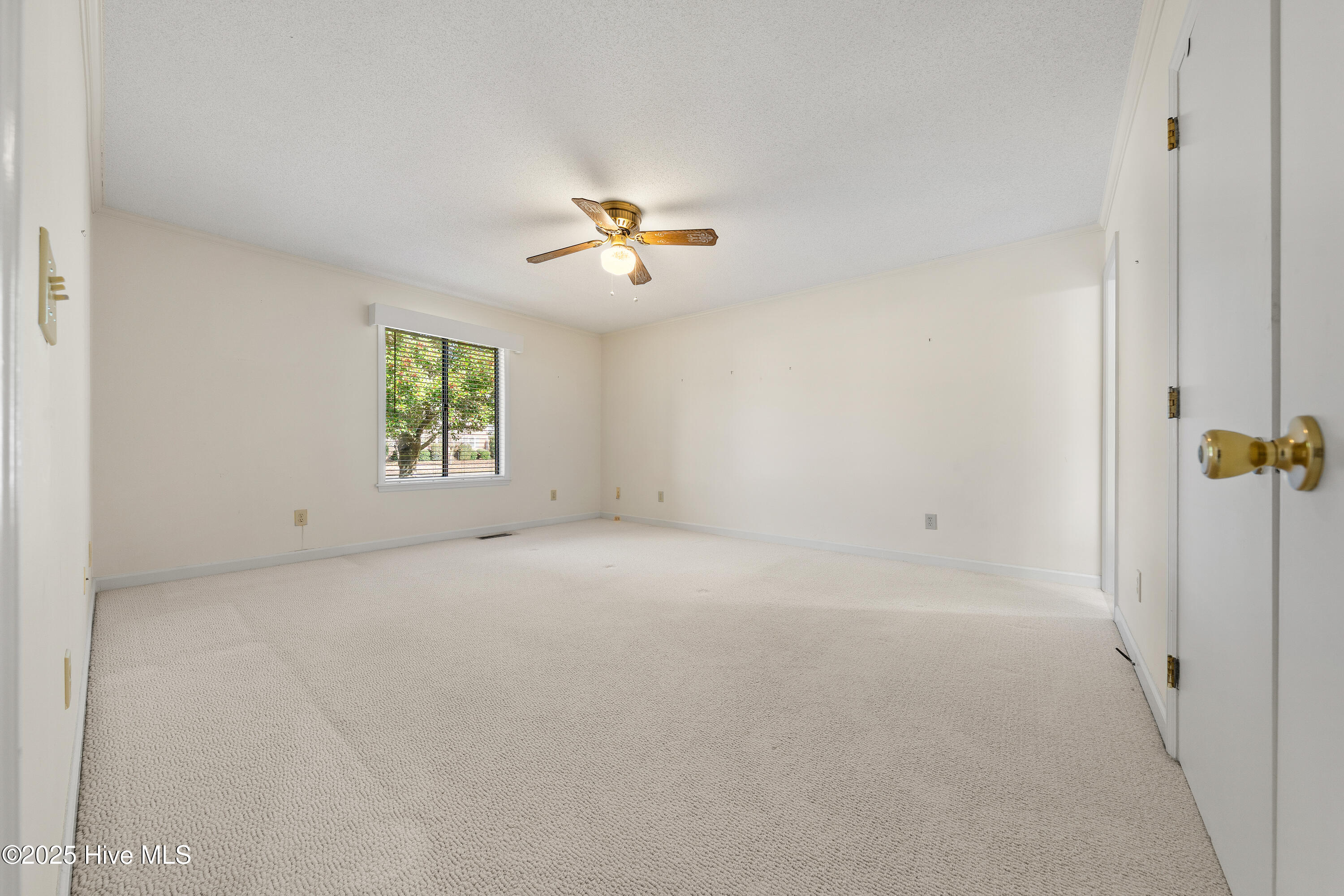 310 Gregory Road Wilmington, NC 28405 - Photo 15 of 79 310GregoryRd-215
