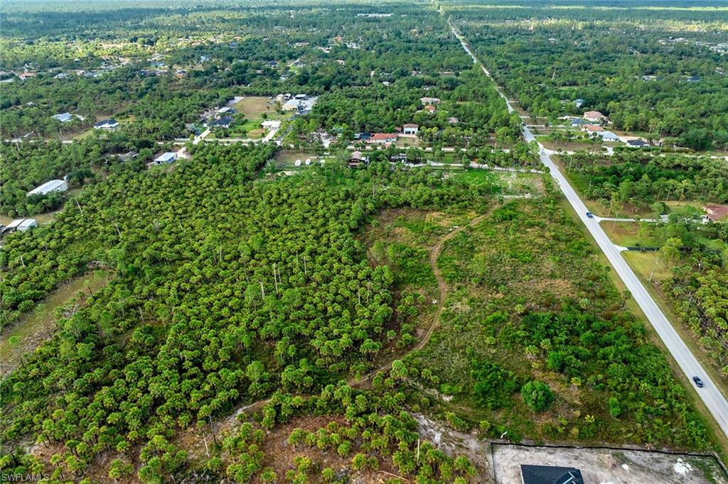 a view of a lush green forest with lots of trees