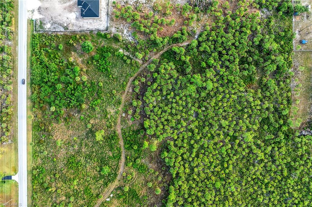 Everglades Boulevard South Naples, FL 34117 - Photo 8 of 13 a view of a lush green field