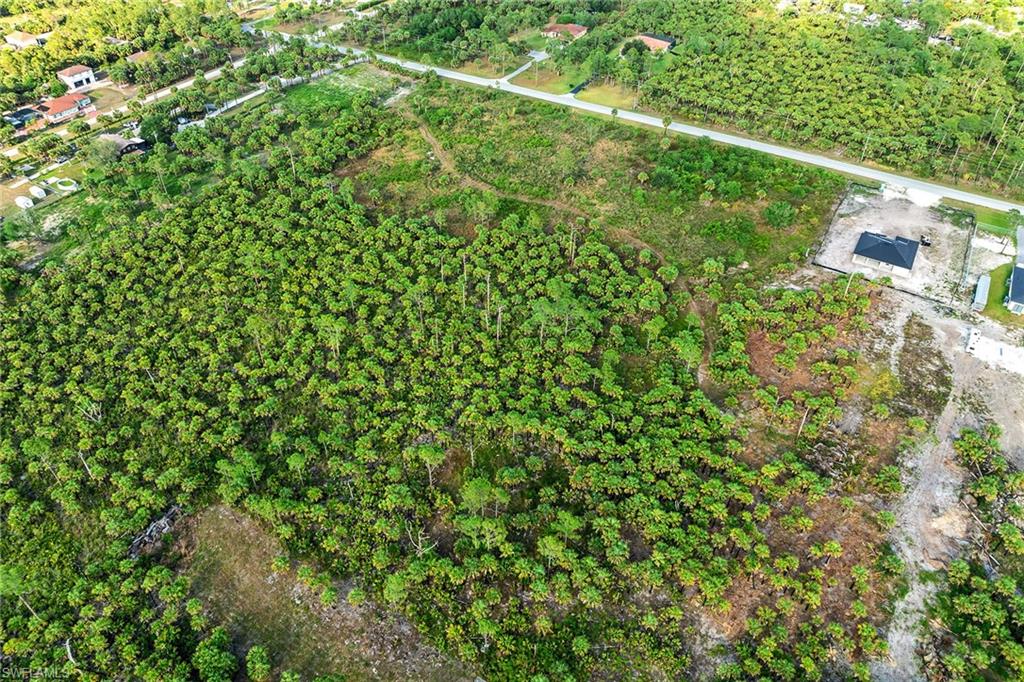 Everglades Boulevard South Naples, FL 34117 - Photo 9 of 13