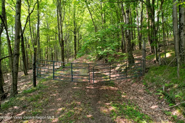 $1,475,000 | 0 Paradise Camp Road, Fleischmanns, NY 12430