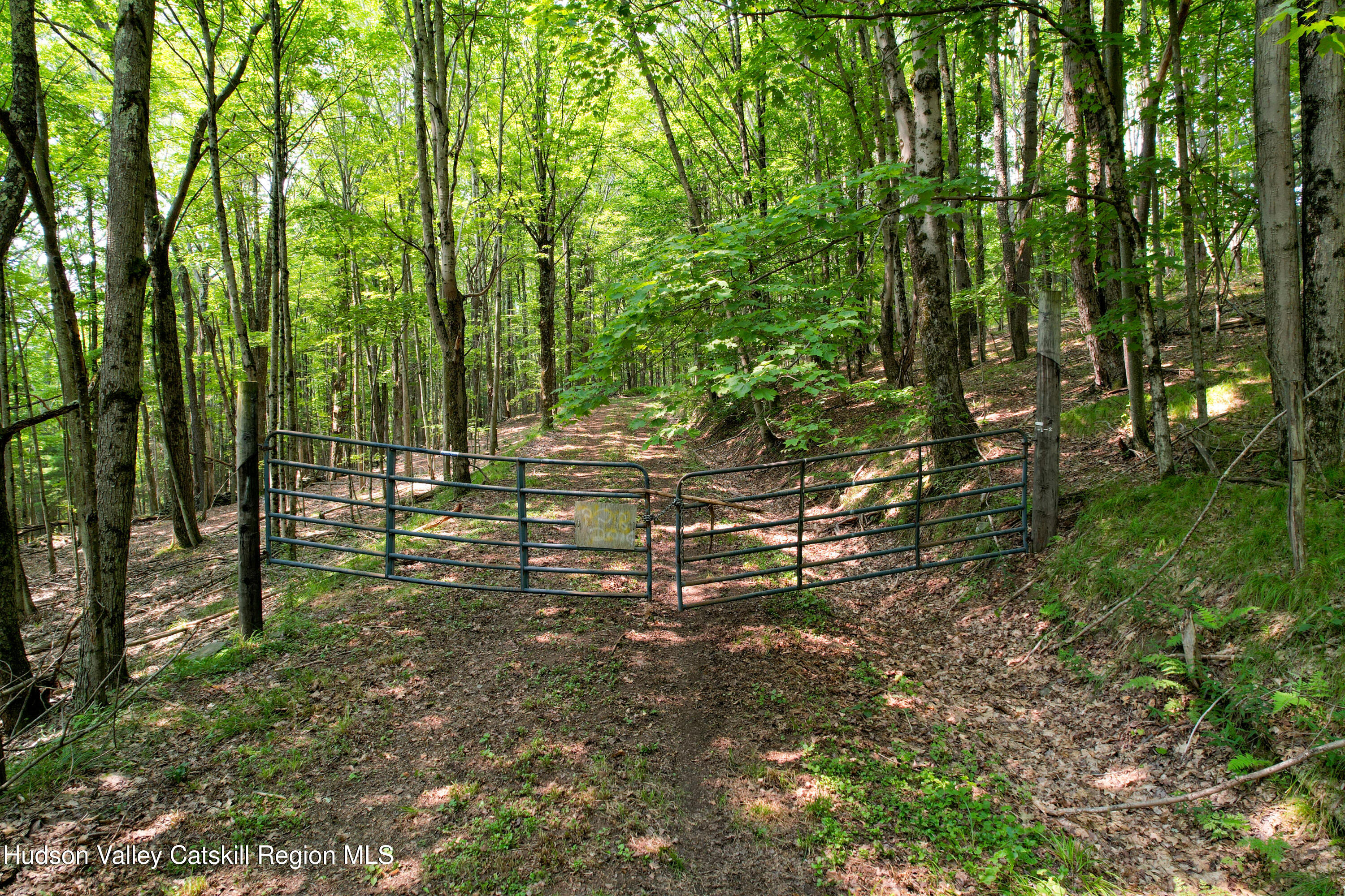 Entrance from Paradise Camp Road
