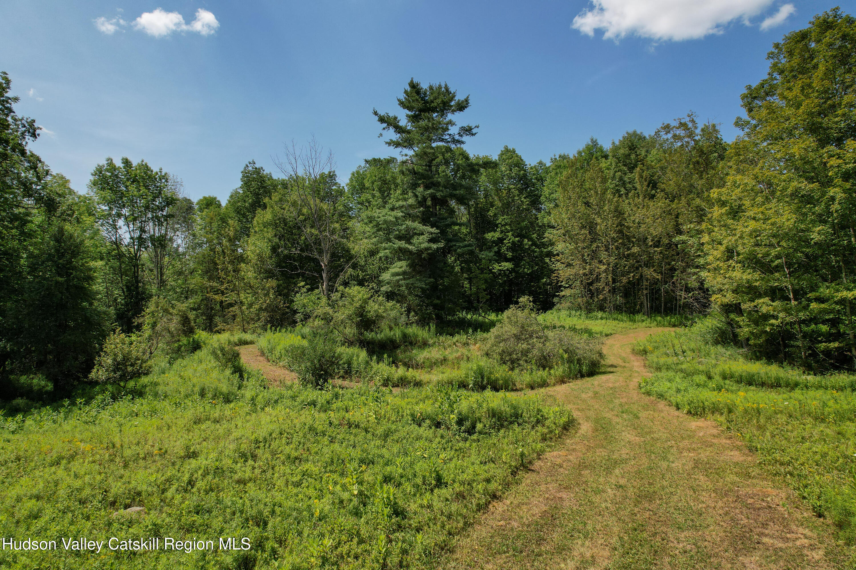 0 Paradise Camp Road Fleischmanns, NY 12430 - Photo 4 of 10 Part of lower meadows