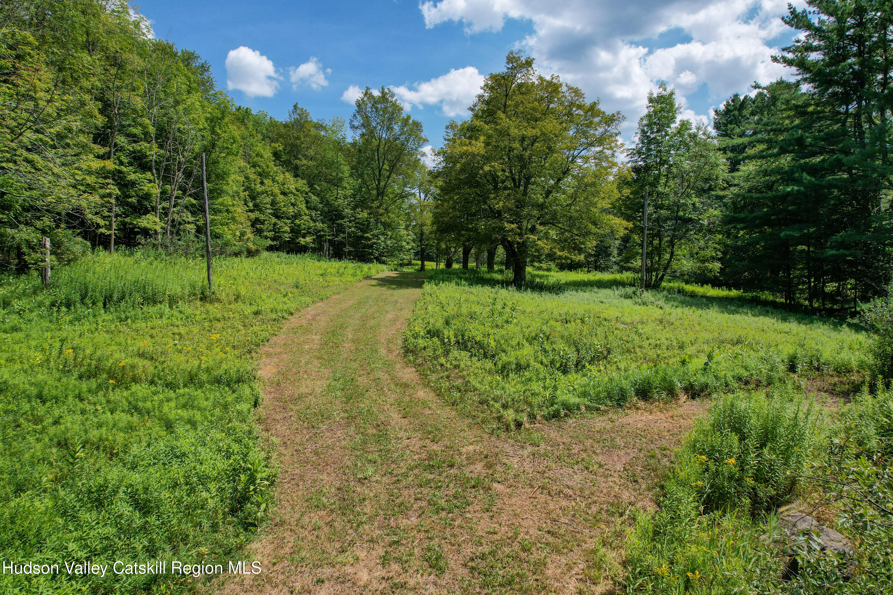 0 Paradise Camp Road Fleischmanns, NY 12430 - Photo 5 of 10 Lower meadow area