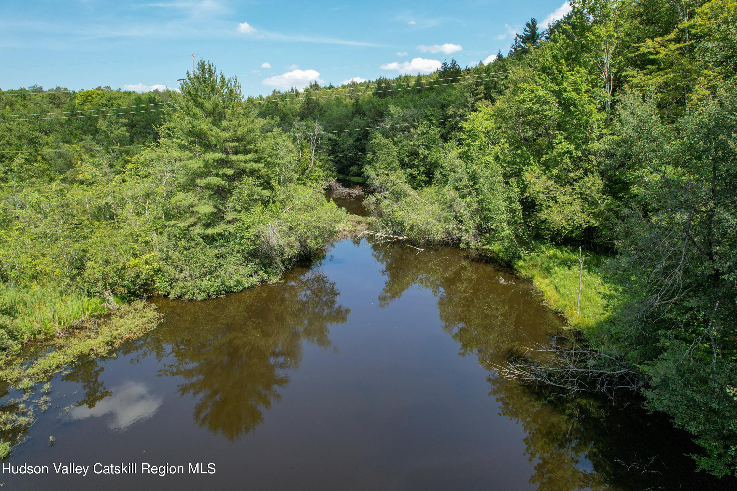 0 Paradise Camp Road Fleischmanns, NY 12430 - Photo 6 of 10 Spring fed Pond