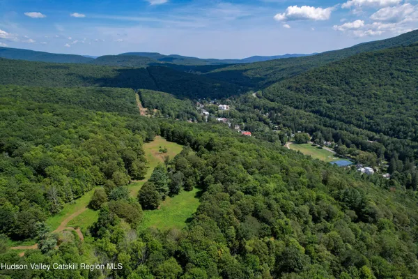 a view of a lush green forest with a houses