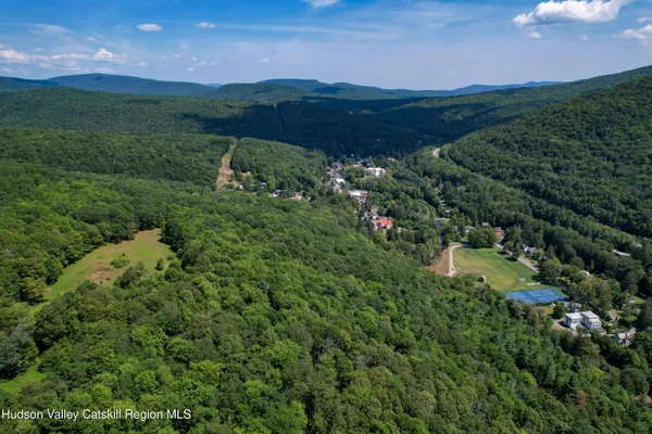 a view of a lush green forest