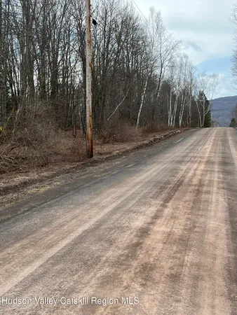 $1,475,000 | 0 Paradise Camp Road, Fleischmanns, NY 12430