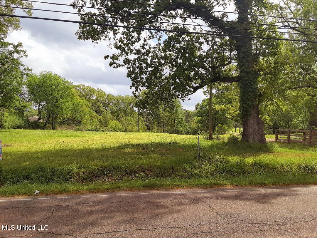 804 North Flag Chapel Road Jackson, MS 39209 - Photo 3 of 3 FLAG CHAPEL ANGLE VIEW