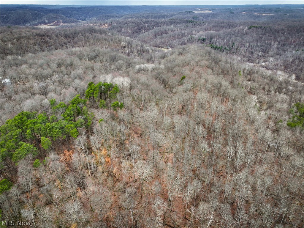 13 Ayers Ridge Lower Salem, OH 45745 - Photo 31 of 32 Bird's eye view of a forest