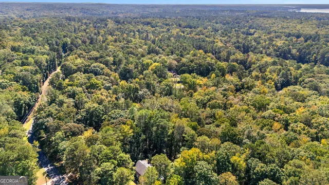 an aerial view of residential houses with outdoor space and trees