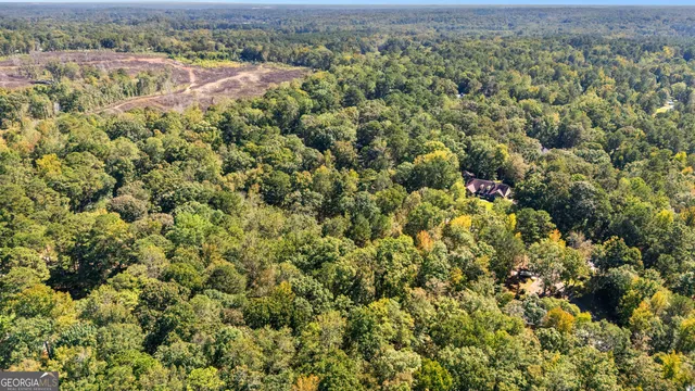 an aerial view of residential houses with outdoor space and trees