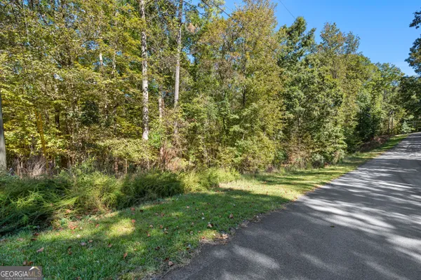 a view of a yard with a trees