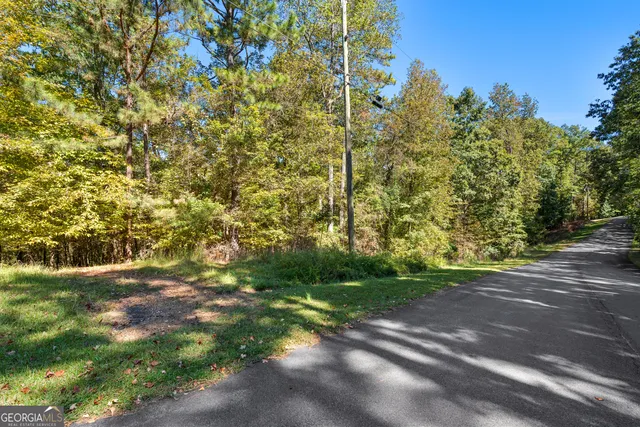 a view of a yard with plants and trees