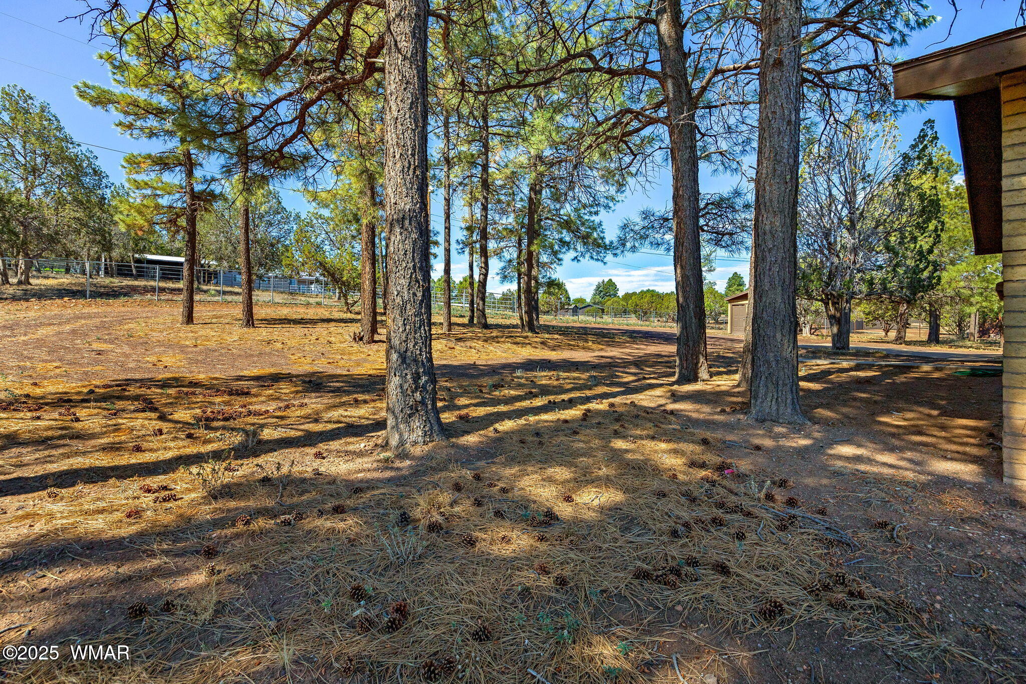 7070 Juniper Way Show Low, AZ 85901 - Photo 5 of 37 7070JuniperWay-ShowLow-AZ-4