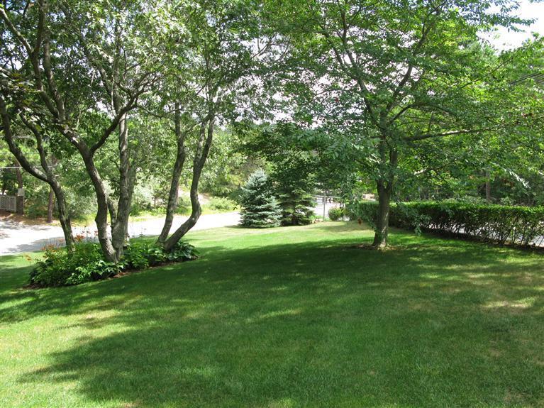 20 Massasoit Road Wellfleet, MA 02667 - Photo 27 of 35 a view of a trees with a yard