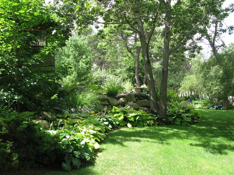 20 Massasoit Road Wellfleet, MA 02667 - Photo 28 of 35 a view of a lush green forest with lawn chairs
