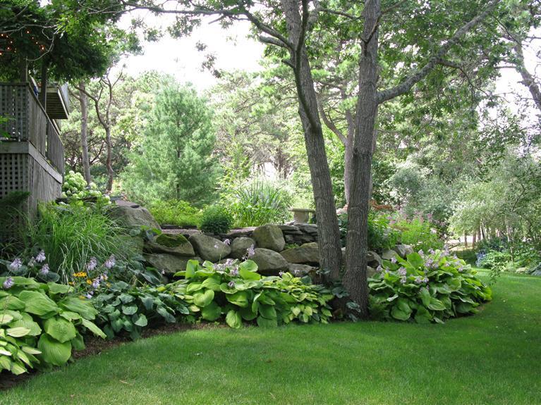 20 Massasoit Road Wellfleet, MA 02667 - Photo 29 of 35 a garden with lots of trees