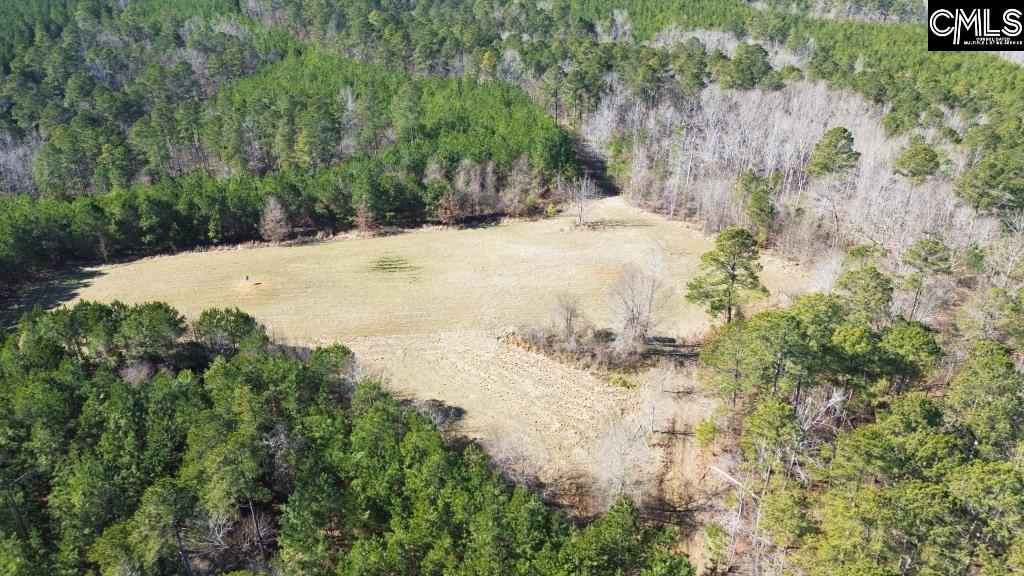 River Road Winnsboro, SC 29180 - Photo 5 of 20