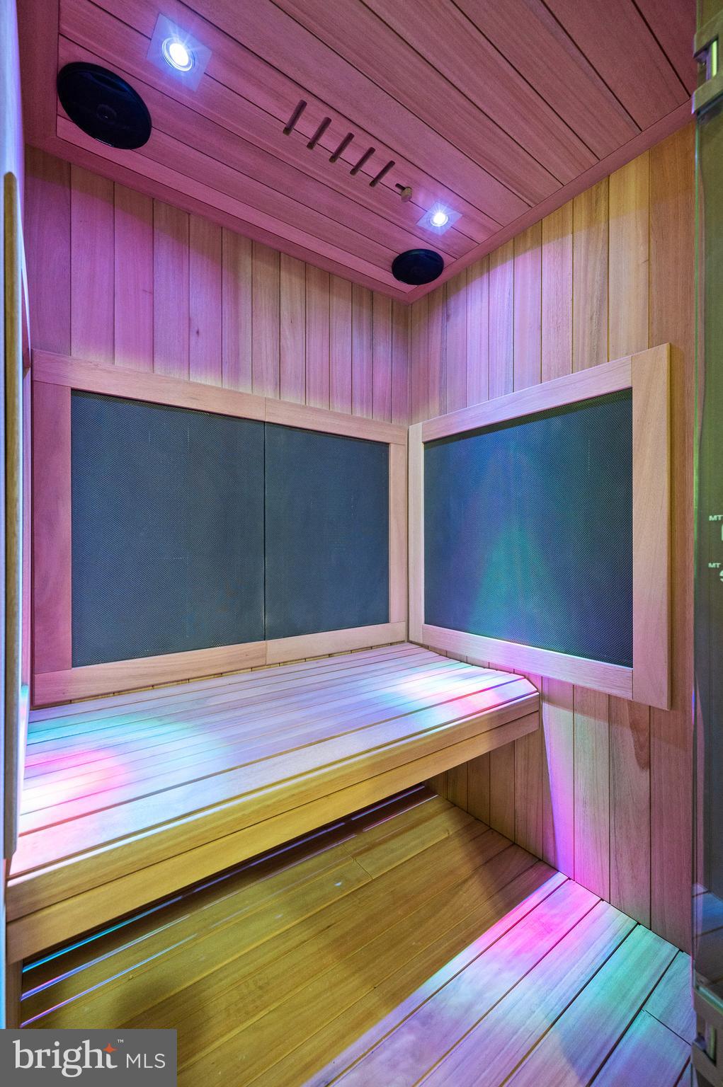 3 Spring Hollow Road Wayne, PA 19087 - Photo 47 of 54 Infared Sauna