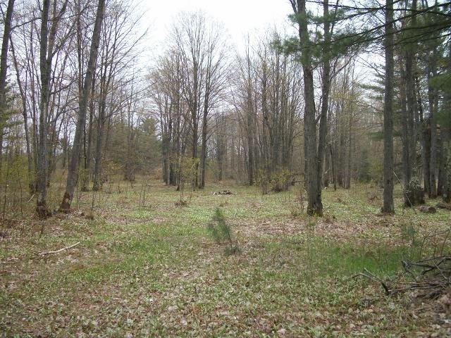 1875 Baker Road Northeast Kalkaska, MI 49646 - Photo 12 of 12 1784792-11.JPG