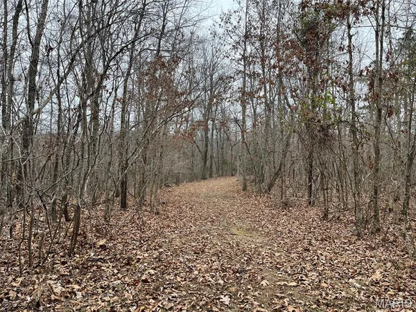 $185,000 | 0 Wayne 443, Mill Spring, MO 63952