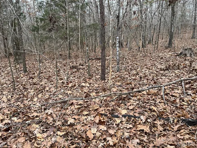 $195,000 | 0 Wayne 443, Ellsinore, MO 63937