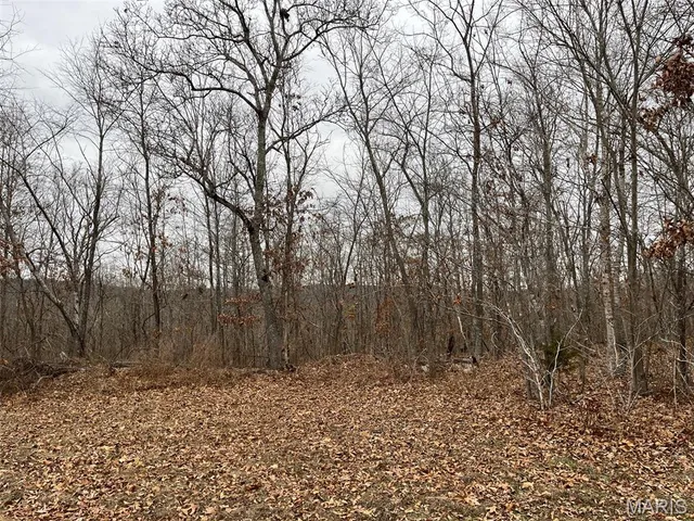 $195,000 | 0 Wayne 443, Ellsinore, MO 63937