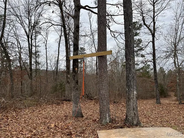 $195,000 | 0 Wayne 443, Ellsinore, MO 63937