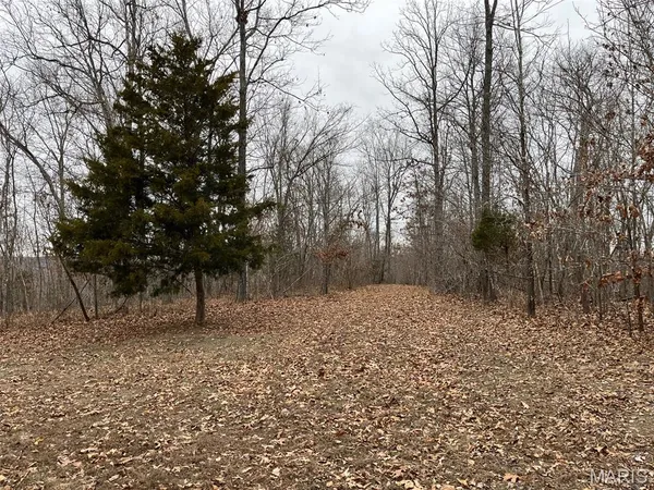 $185,000 | 0 Wayne 443, Mill Spring, MO 63952