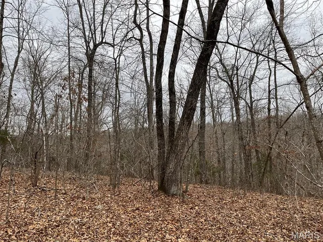 $195,000 | 0 Wayne 443, Ellsinore, MO 63937