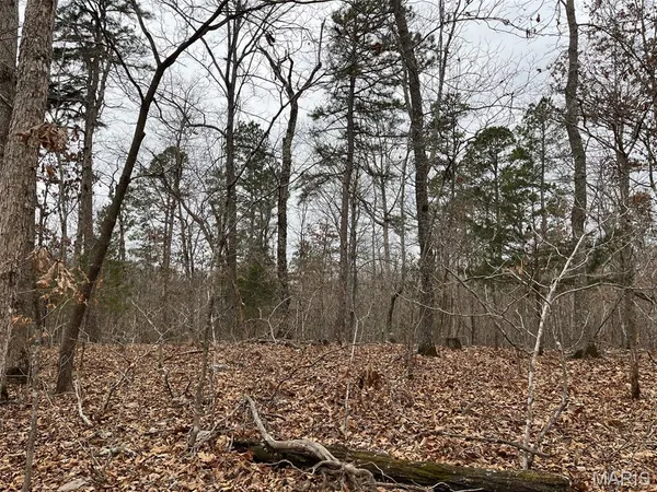 $185,000 | 0 Wayne 443, Mill Spring, MO 63952