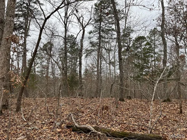 $195,000 | 0 Wayne 443, Ellsinore, MO 63937