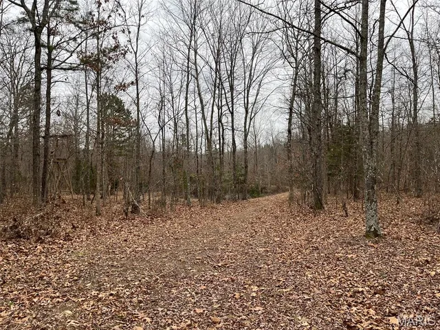 $195,000 | 0 Wayne 443, Ellsinore, MO 63937