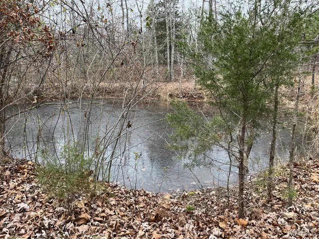 $195,000 | 0 Wayne 443, Ellsinore, MO 63937