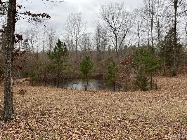 $195,000 | 0 Wayne 443, Ellsinore, MO 63937