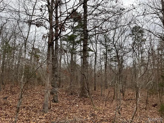 $195,000 | 0 Wayne 443, Ellsinore, MO 63937