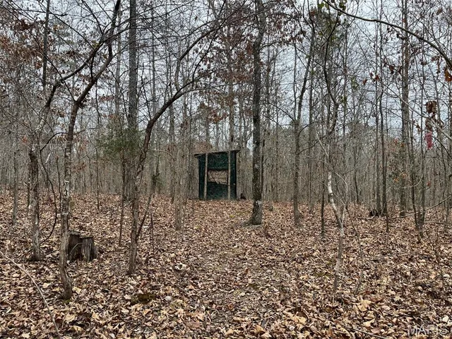 $195,000 | 0 Wayne 443, Ellsinore, MO 63937