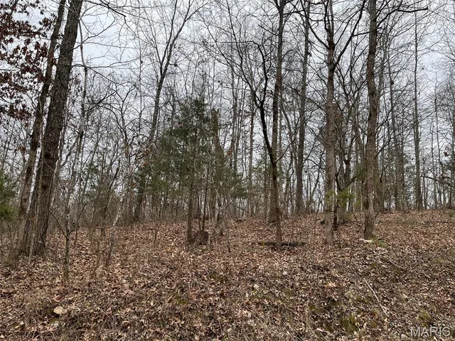 $195,000 | 0 Wayne 443, Ellsinore, MO 63937