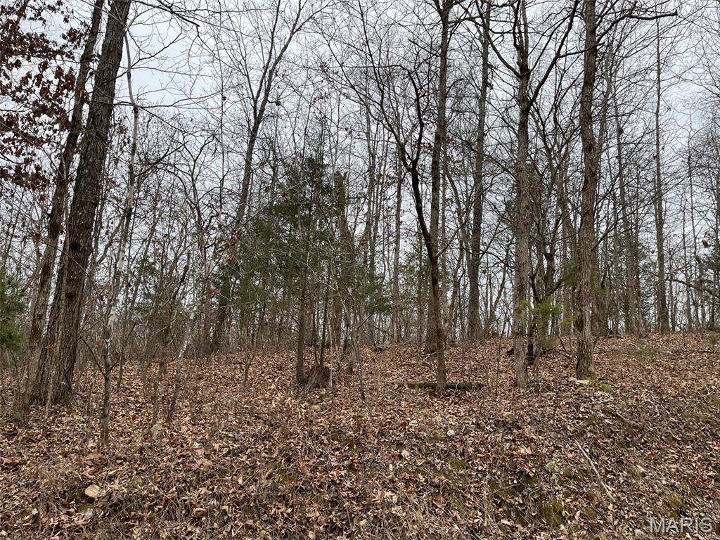 0 Wayne 443 Ellsinore, MO 63937 - Photo 23 of 40