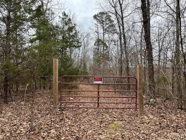 $195,000 | 0 Wayne 443, Ellsinore, MO 63937